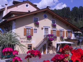  Hotel Salvanel  Кавалезе